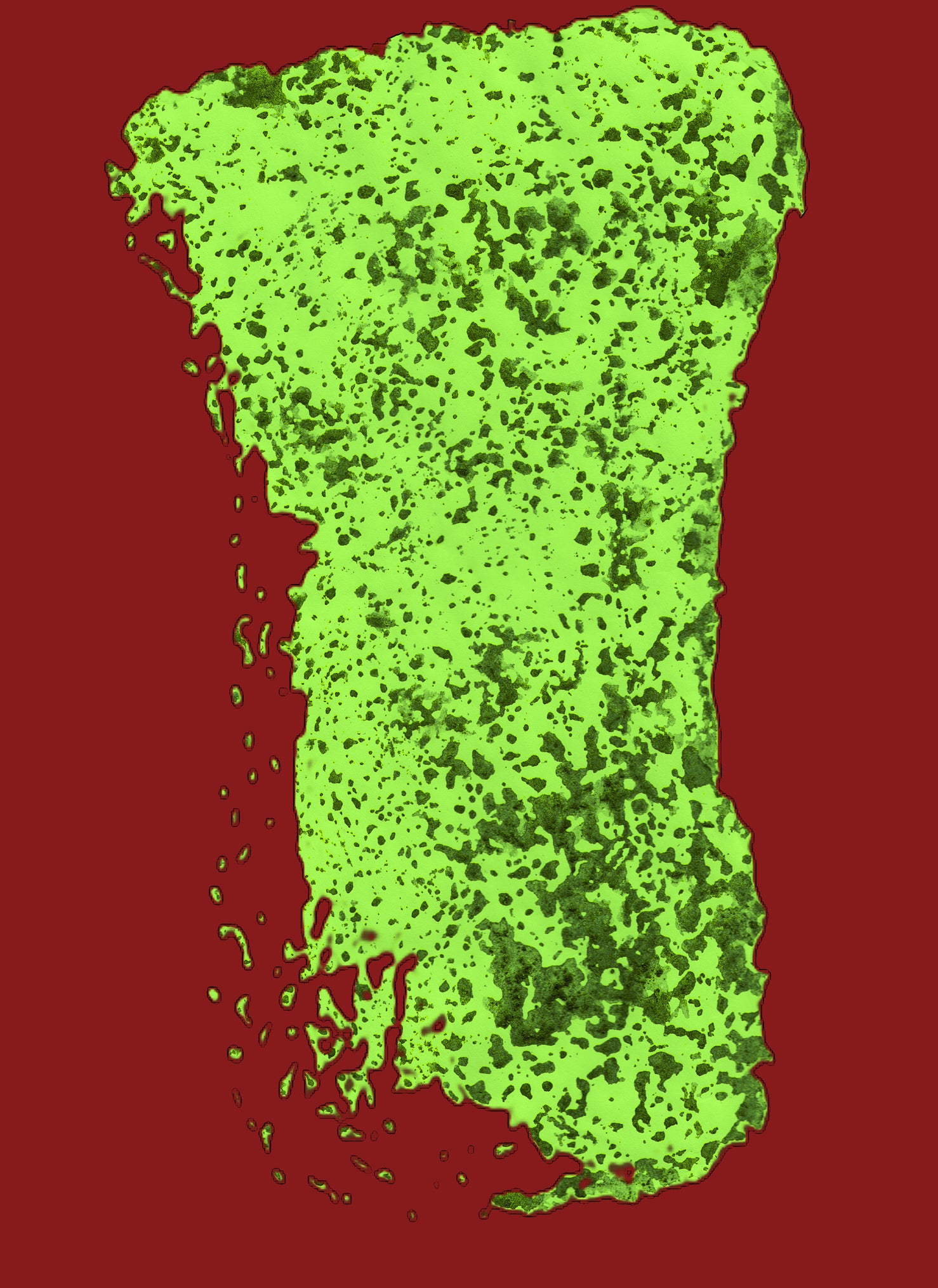 Vases Digital 2