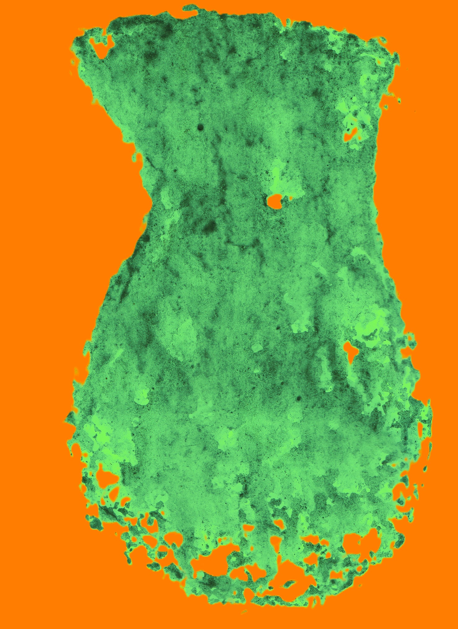 Vase Digital 3