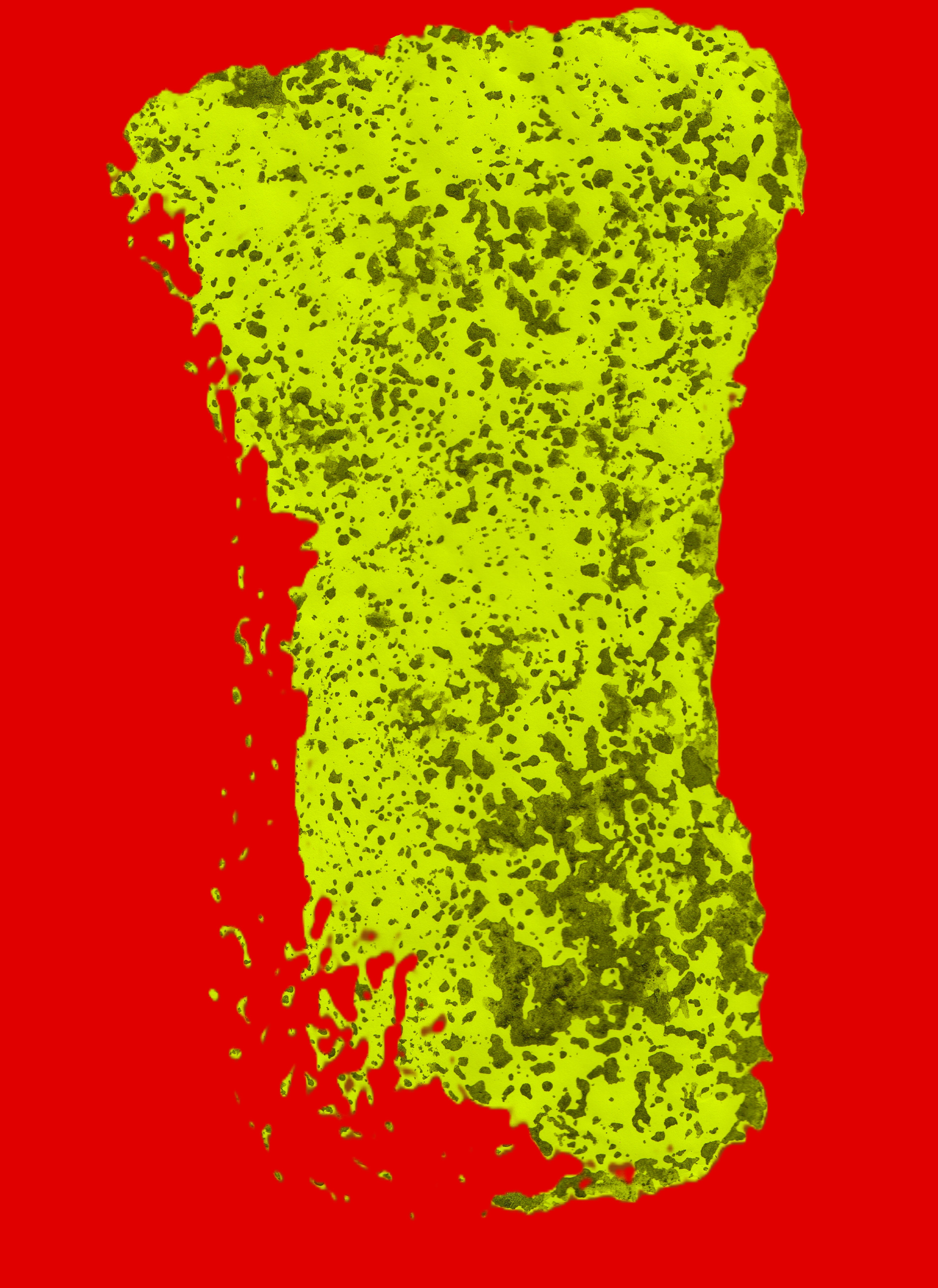 Vases Digital 2